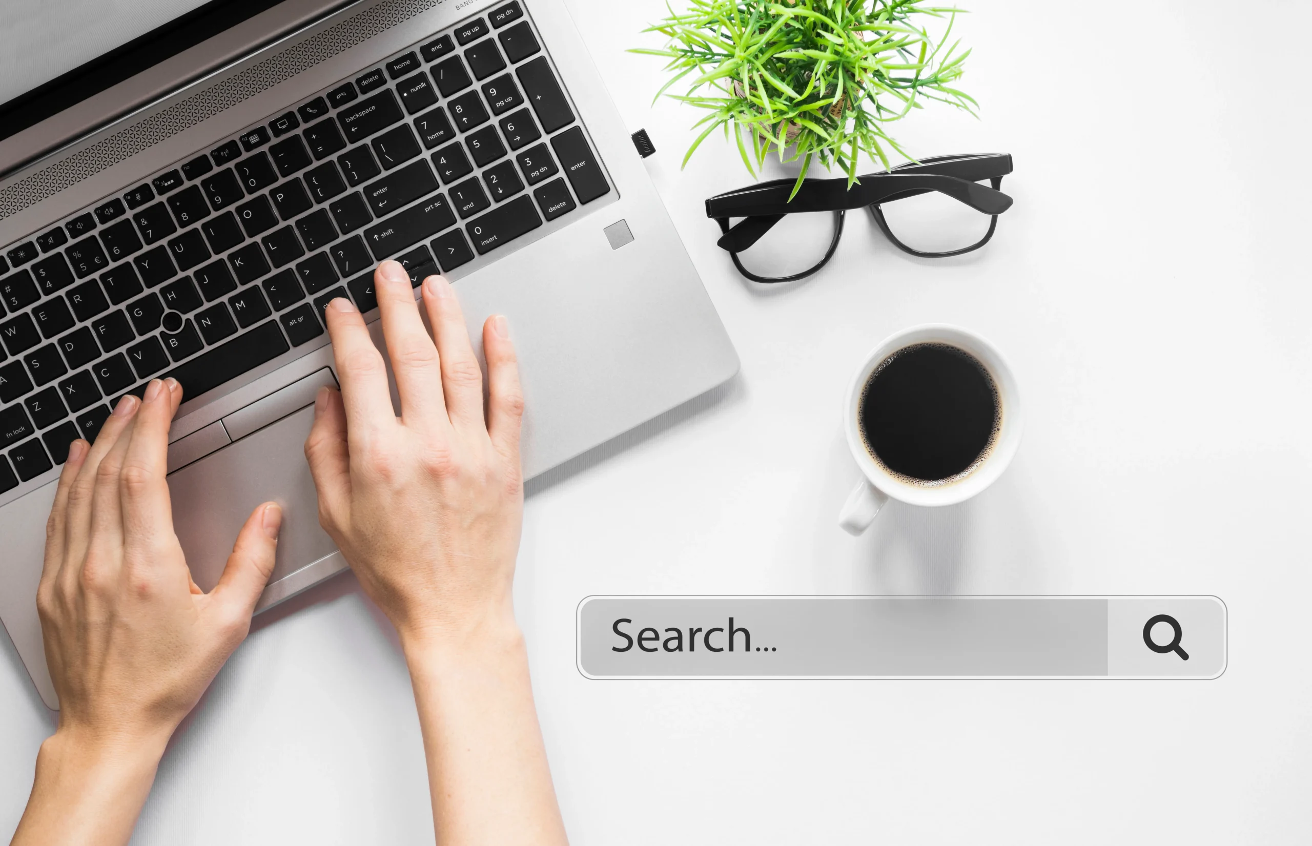 Person typing on laptop next to potted plant and coffee cup