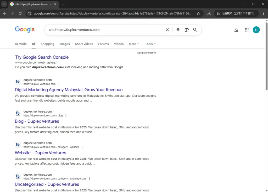 Google Search Console Site Search