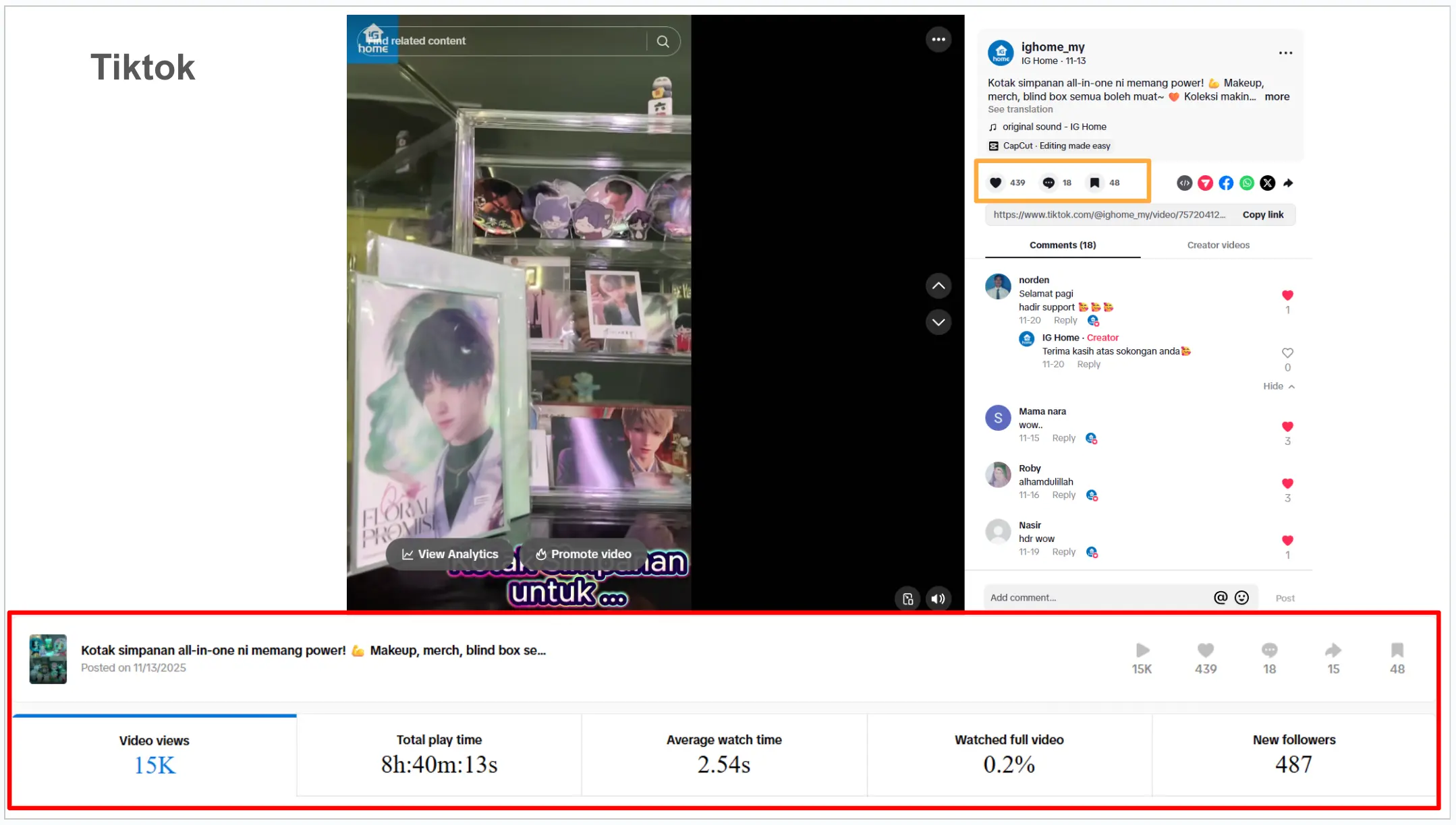 social media portfolio