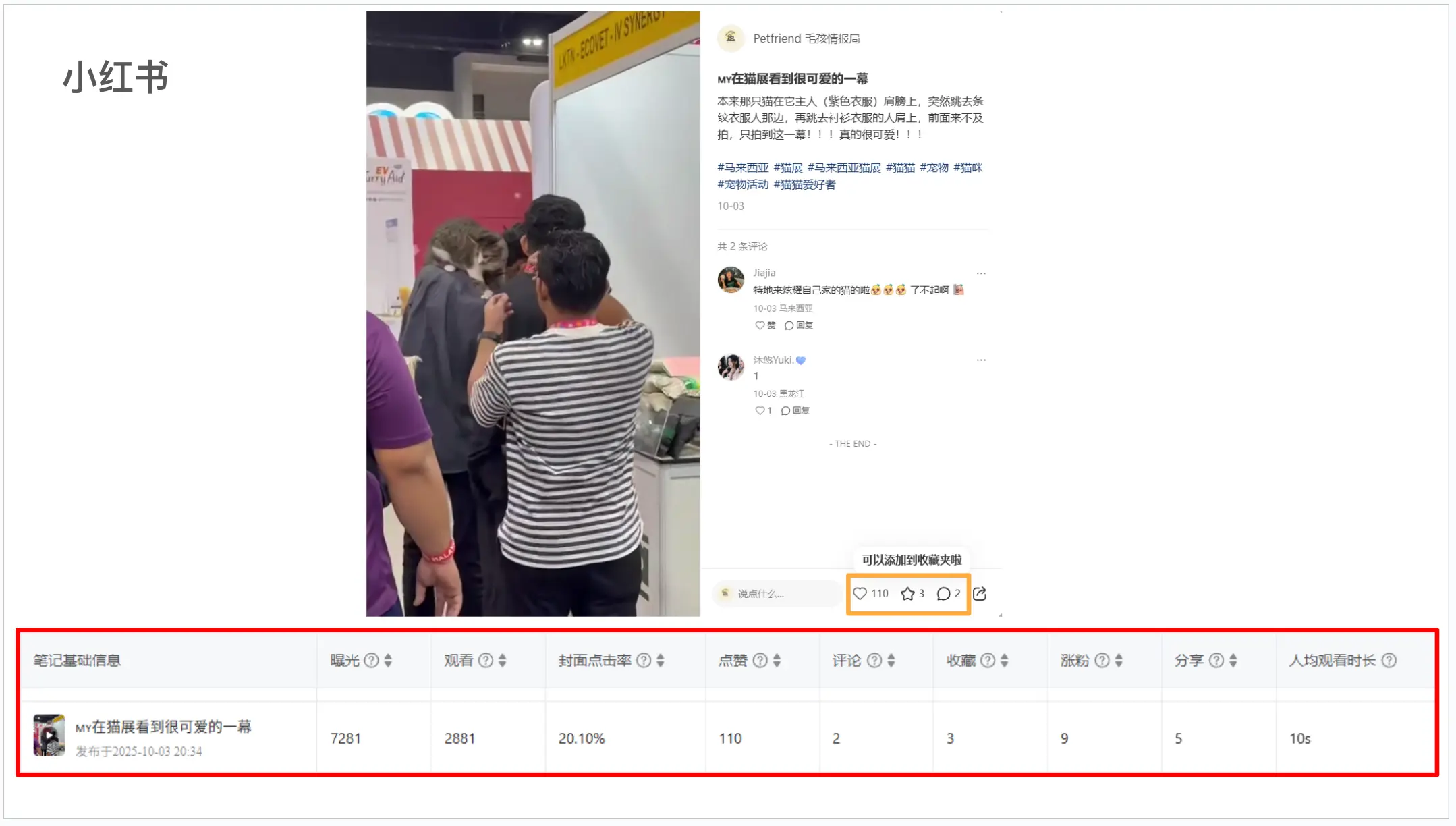 social media portfolio