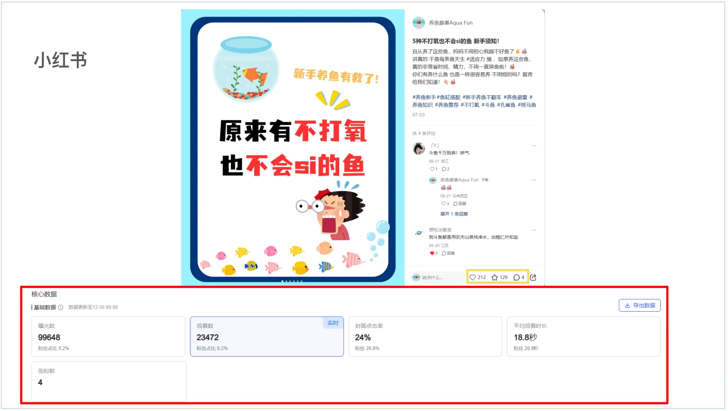 social-media-portfolio-2