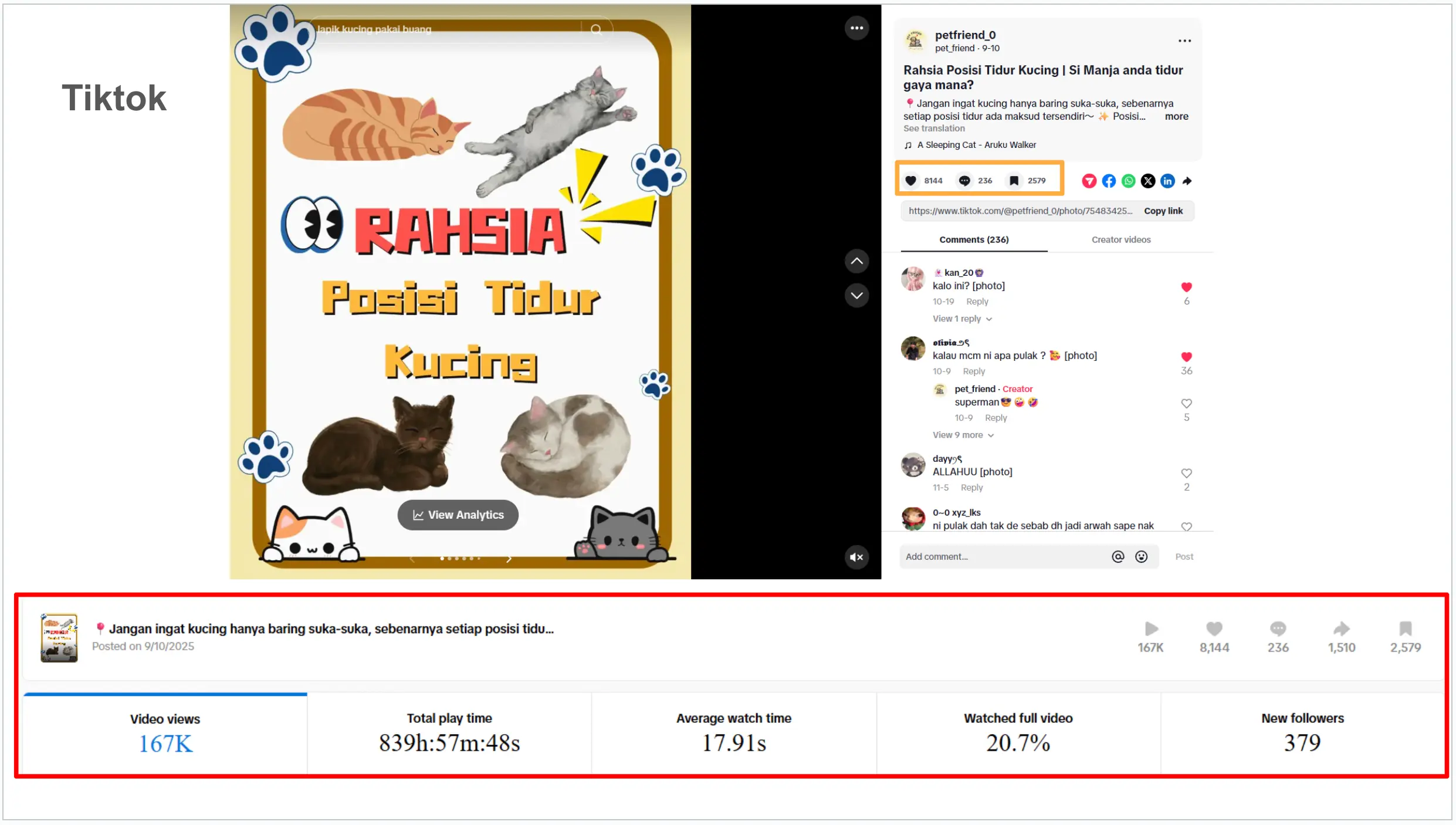 social-media-portfolio-4