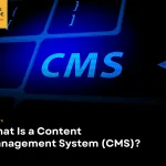 What Is a Content Management System (CMS)?