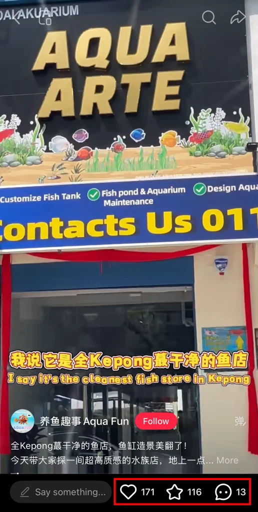 Social Media Reels 4