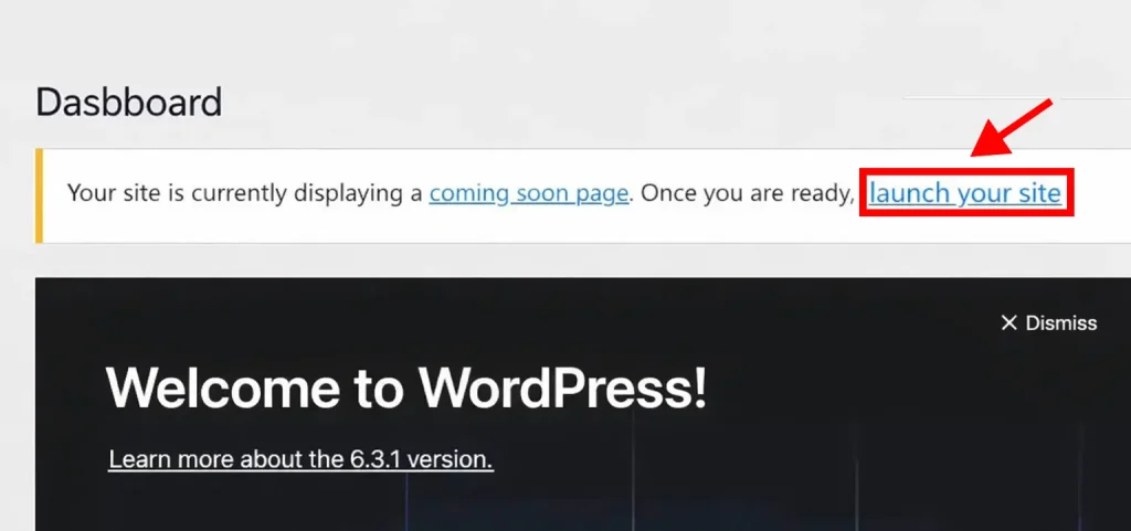 WordPress Launch Your Site